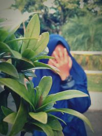 Close-up of man against plants