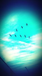 Low angle view of birds flying against blue sky