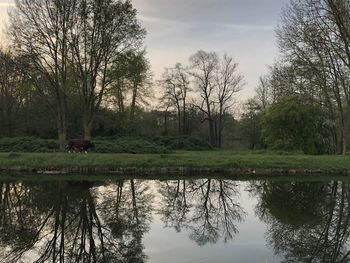 Reflection of trees in lake against sky