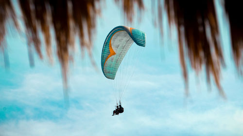 Fly free like a bird