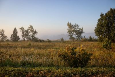 Scenic view of field against sky during sunset