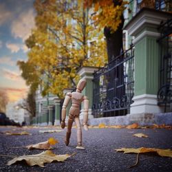 Man on tree in city during autumn