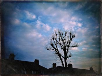 Low angle view of bare trees against cloudy sky