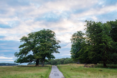 Countryside road