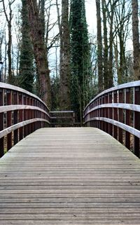 Wooden footbridge in forest