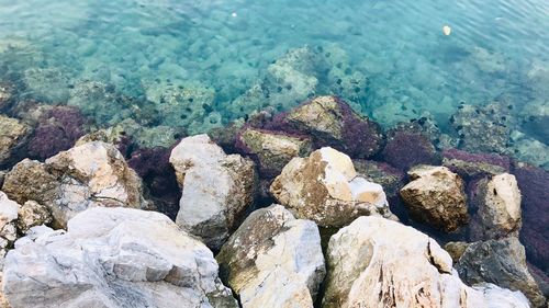 High angle view of pebbles on beach