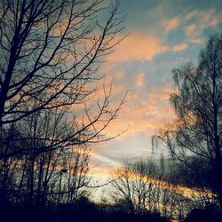 Low angle view of bare trees against sky