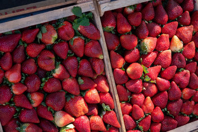 High angle view of strawberries in market