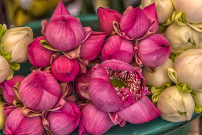 Close-up of pink flowers in market for sale