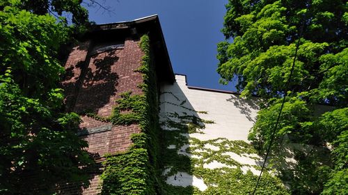 Low angle view of building and trees against sky
