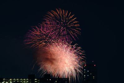 Low angle view of firework display at night