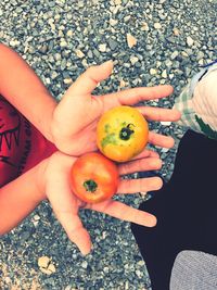 High angle view of hands holding fruits