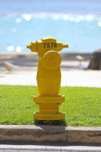 Close-up of fire hydrant in park