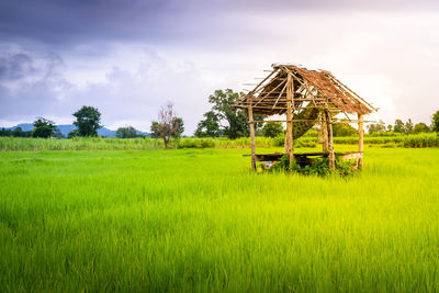 Traditional windmill on field against sky