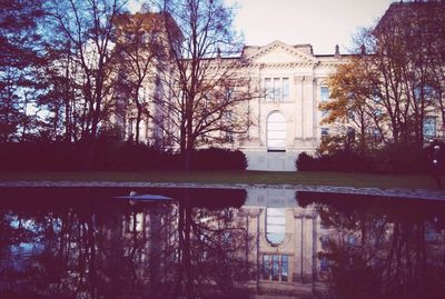 Bare trees with buildings in background