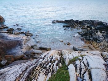 High angle view of rocks on beach