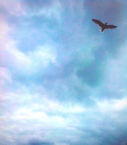 Low angle view of bird flying against cloudy sky