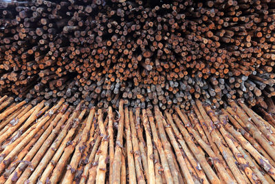 Full frame shot of logs in forest