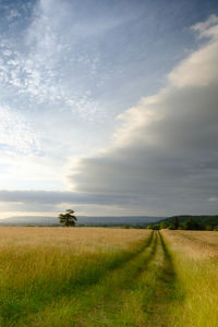 Scenic view of grassy field against cloudy sky