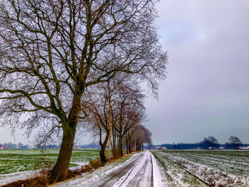 Road amidst bare trees on field against sky