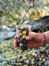 Cropped hand holding disposable glass with olives