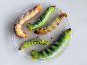 High angle view of fruits in plate on table