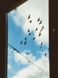 Low angle view of birds flying in sky