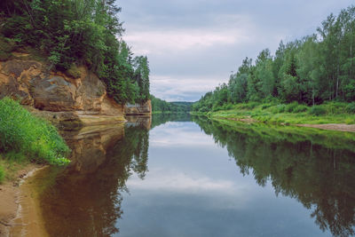Scenic view of lake by trees against sky
