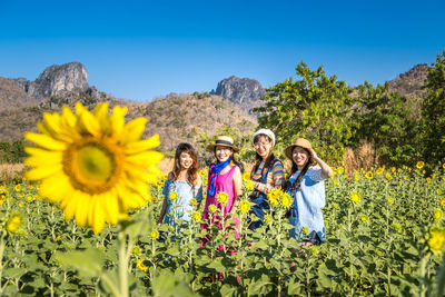 Rear view of women standing in sunflower field against blue sky