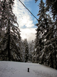 View of trees against cloudy sky