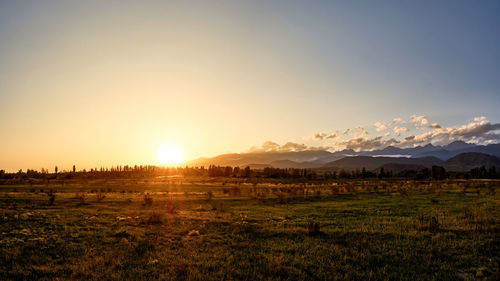 Scenic view of field against sky during sunset