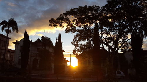 Low angle view of silhouette trees against sky during sunset