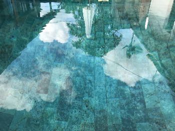 Reflection of trees in water