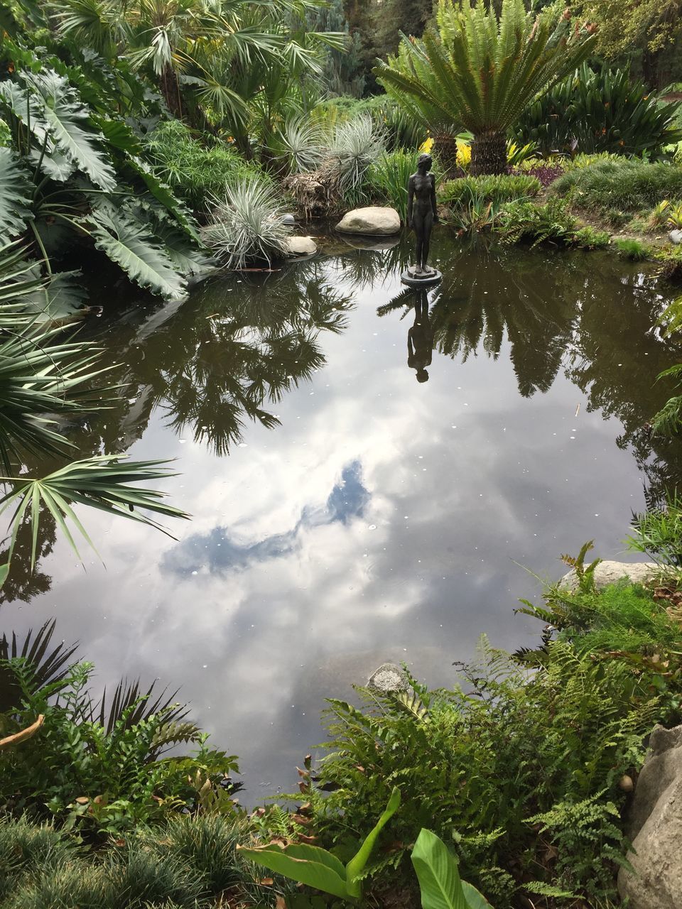 REFLECTION OF PALM TREES IN WATER