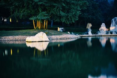 Reflection of trees in water