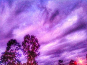 Low angle view of pink flowers against cloudy sky