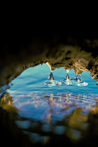 Close-up of water drop