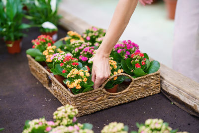 Cropped hand of woman holding bouquet