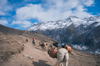 View of horse on mountain against sky