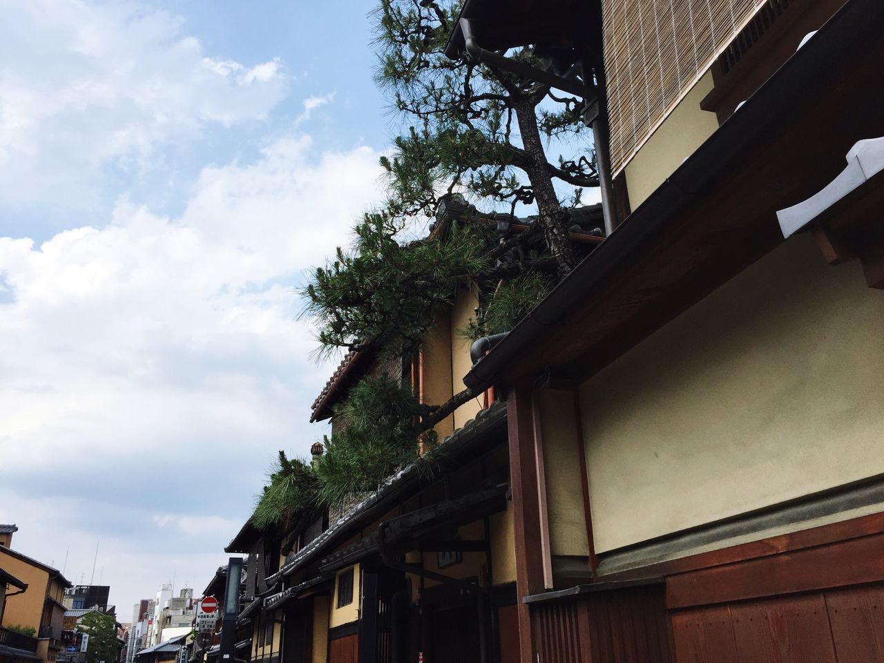 building exterior, architecture, built structure, low angle view, residential building, tree, residential structure, sky, house, city, building, outdoors, day, window, cloud, sunlight, cloud - sky, branch, residential district, no people