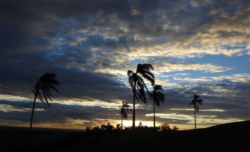Low angle view of silhouette palm trees on field against sky