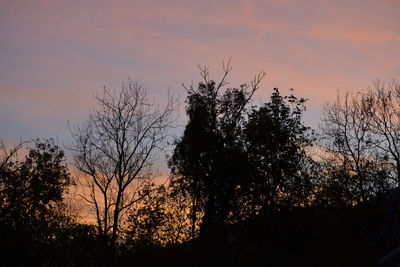 Low angle view of silhouette trees against sky at sunset