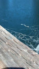 High angle view of wood against sea