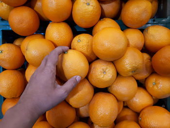 High angle view of oranges for sale in market