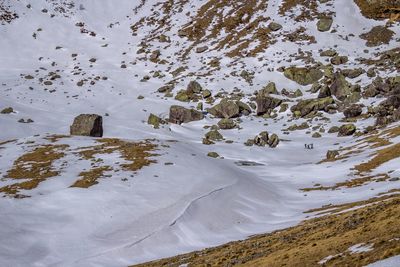 High angle view of snow covered land