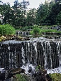 Scenic view of waterfall in forest