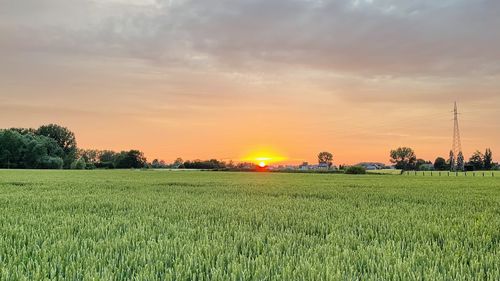 Scenic view of field against sky during sunset