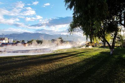 Steam coming out from hot water springs by field during sunny day