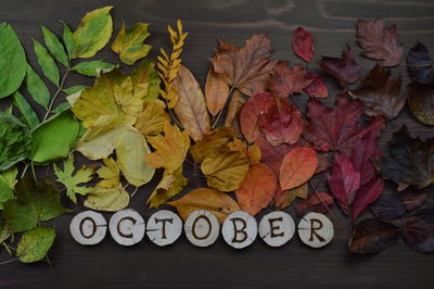 Colorful autumn leaves color gradient on brown wood and word october burned into round wooden pieces