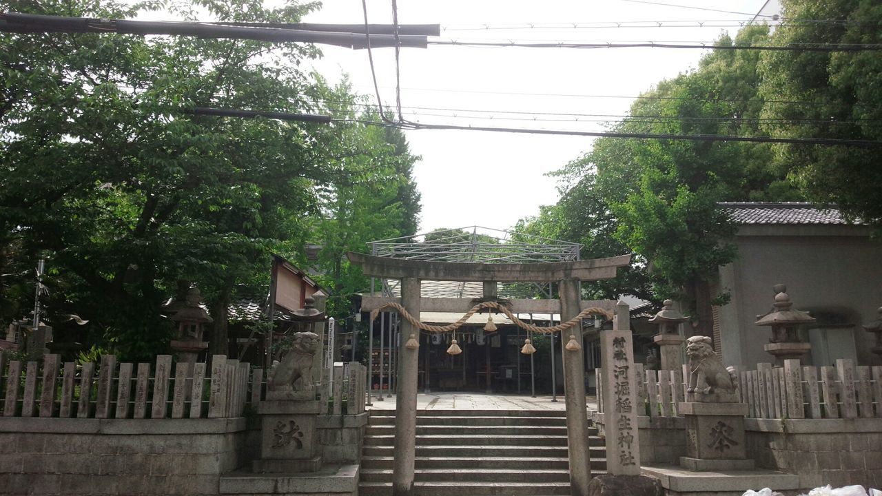 tree, architecture, built structure, building exterior, railing, house, day, growth, no people, clear sky, roof, residential structure, outdoors, plant, steps, residential building, nature, wall - building feature, gate, connection